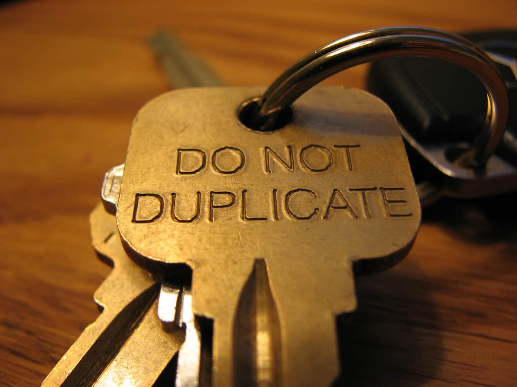 Why duplicate content